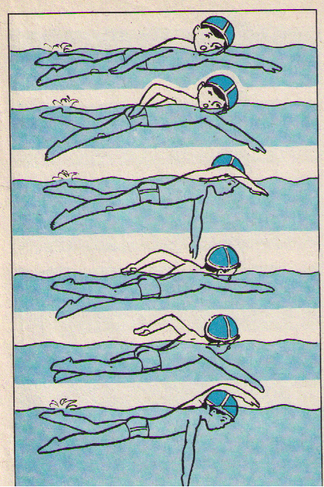 Как научиться плавать: 13 шагов (с иллюстрациями)