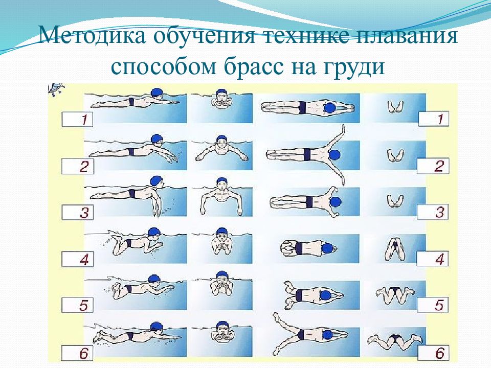 План конспект обучение технике плавания брассом