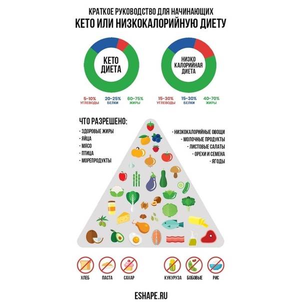 План кето диеты бесплатно