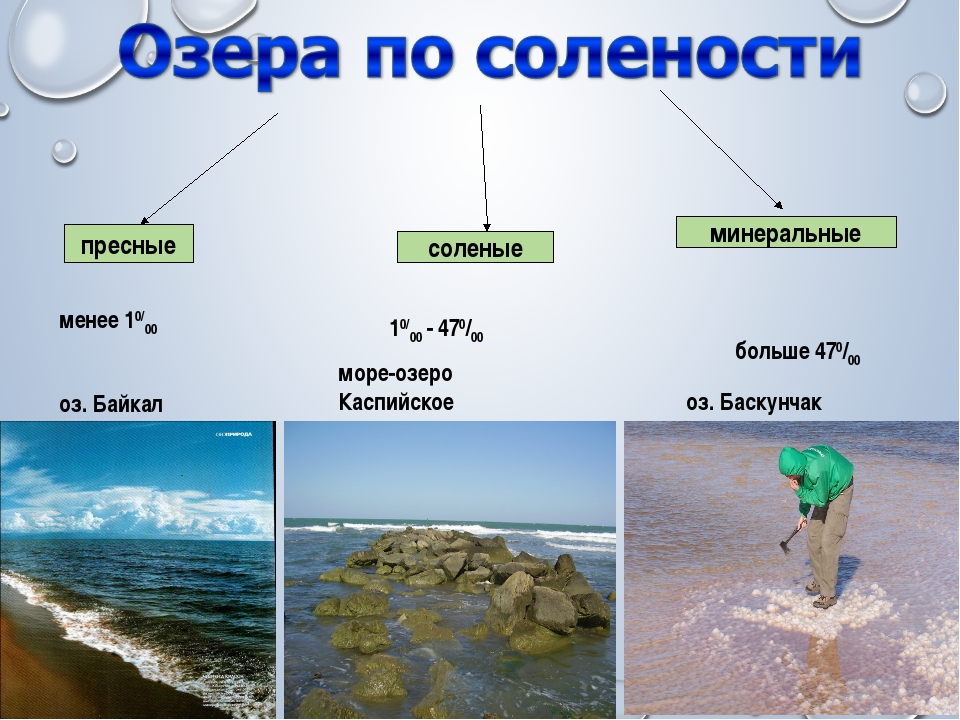 Почему вода в море соленая? откуда берется соль? - gkd.ru