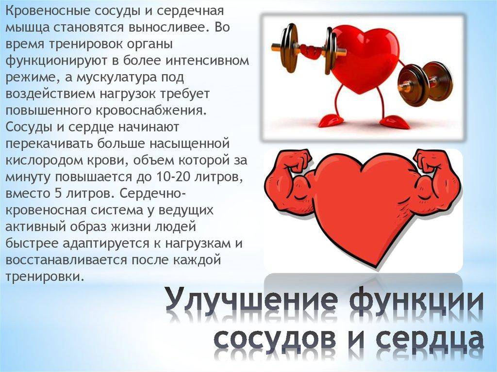 Кардио тренировка для укрепления сердца
