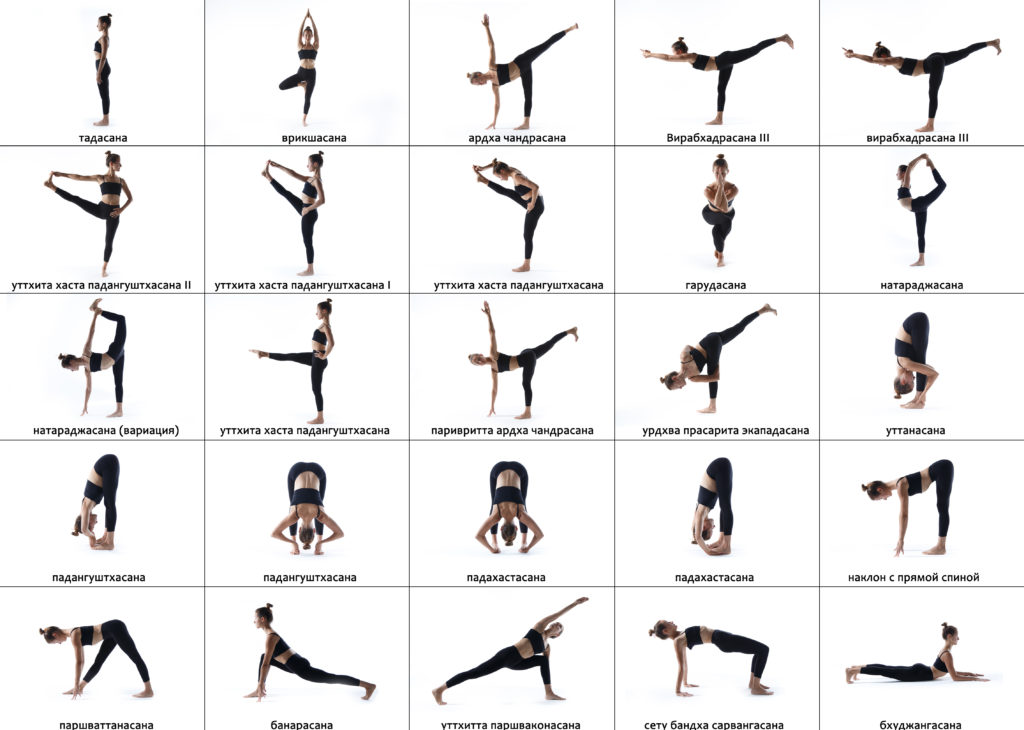 Уроки хатха-йоги для начинающих — 10 особенных асан и видео уроки!
