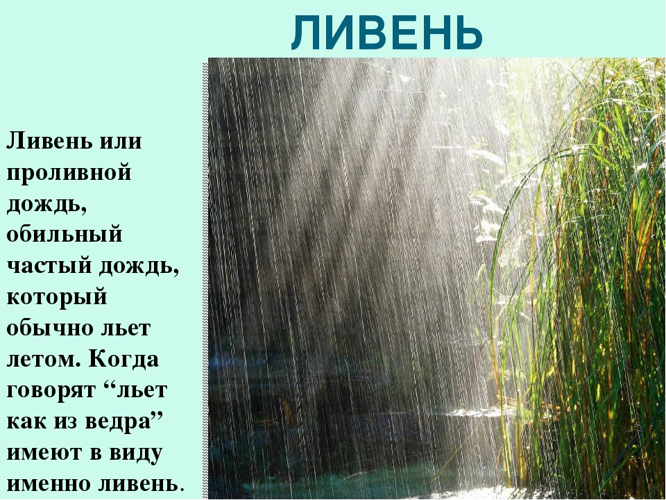 Как образуется дождь и снег? как образуется иней и роса? :: syl.ru