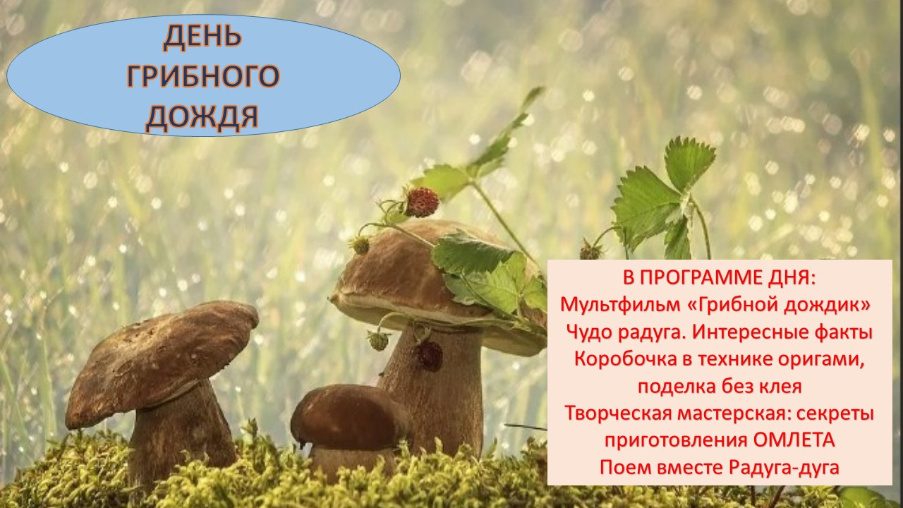 Через сколько дней растут грибы после дождя. сколько растет гриб после дождя?