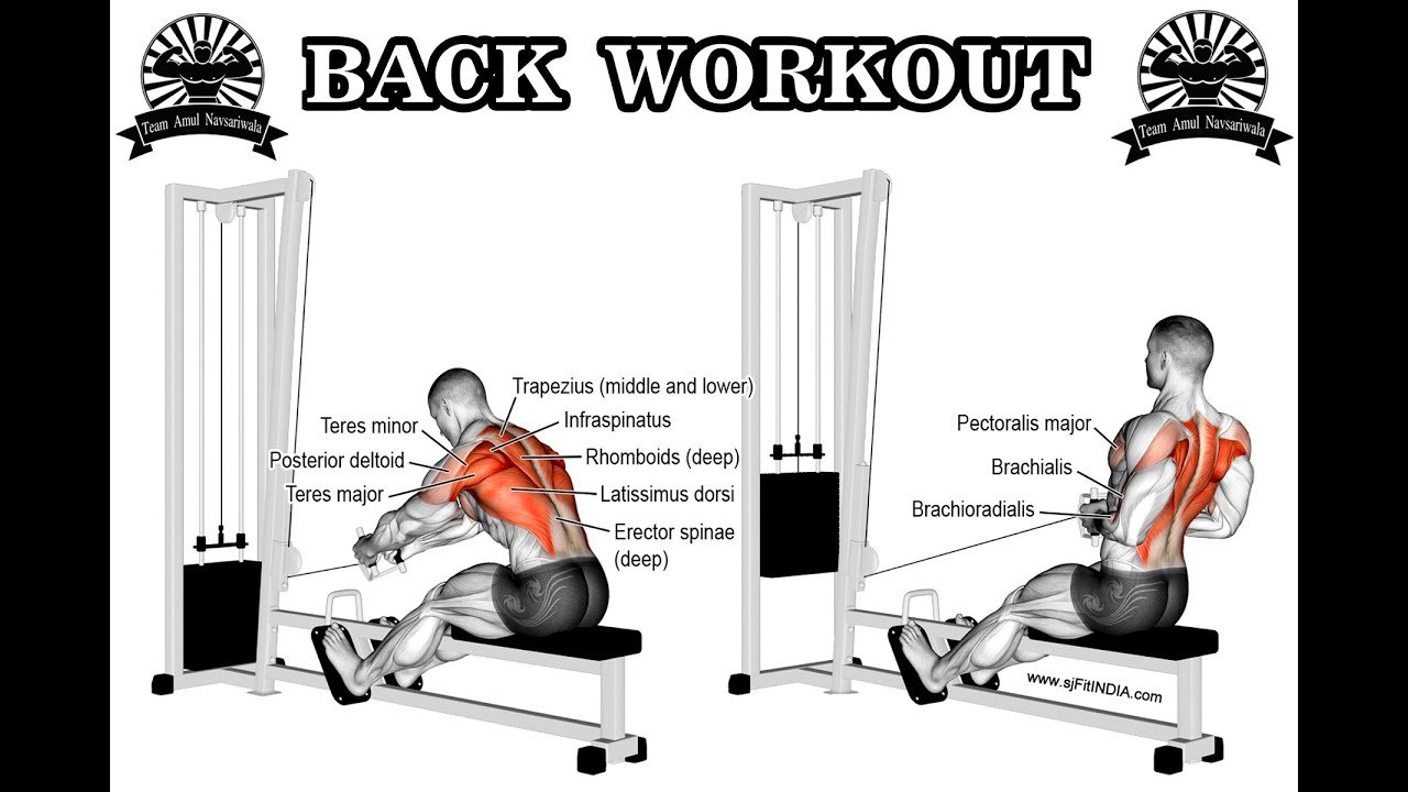 Тяга горизонтального блока. отличное упражнение для мышц спины!