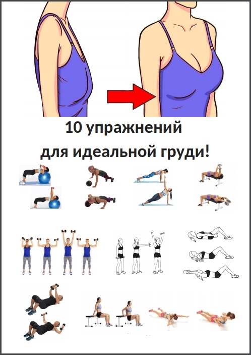 Как накачать грудь девушке в домашних условиях с фото и видео | dlja-pohudenija.ru