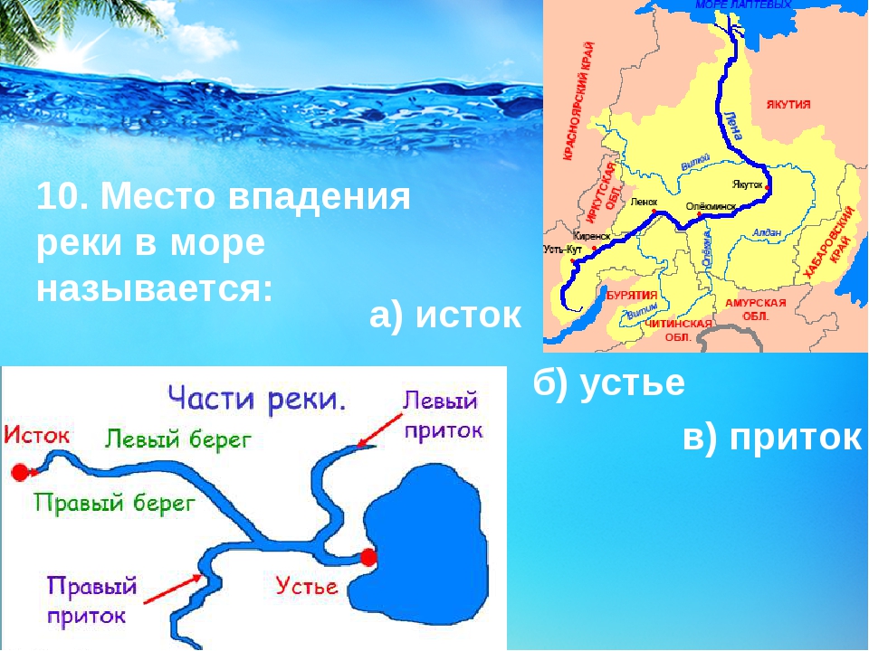 Река дон: обзор и характеристики, притоки, исток, устье