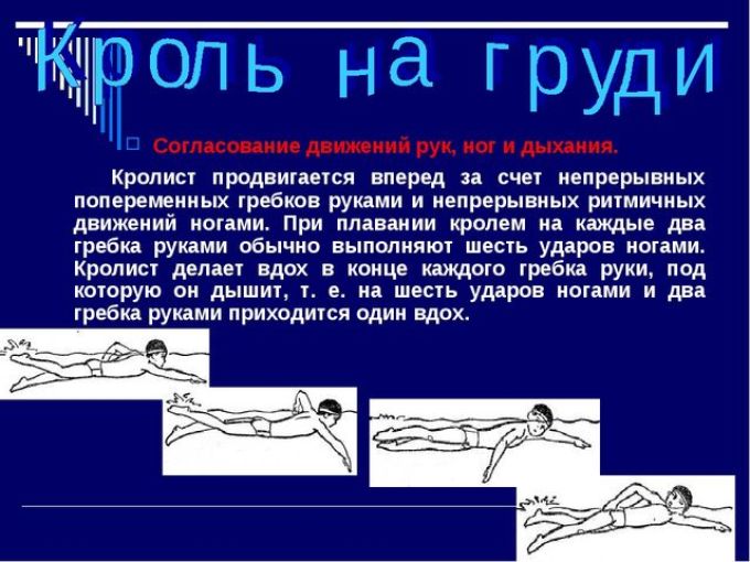 Уроки плавания кролем - разучиваем положение рук, ног и тела