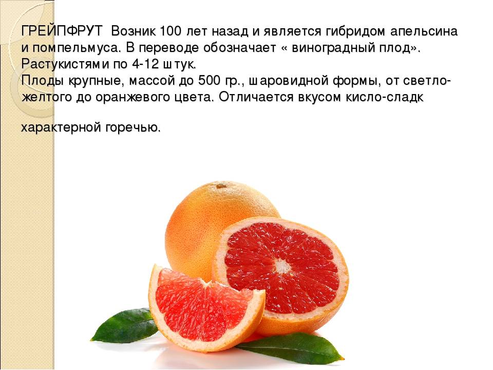 Грейпфрут: польза и вред для здоровья
