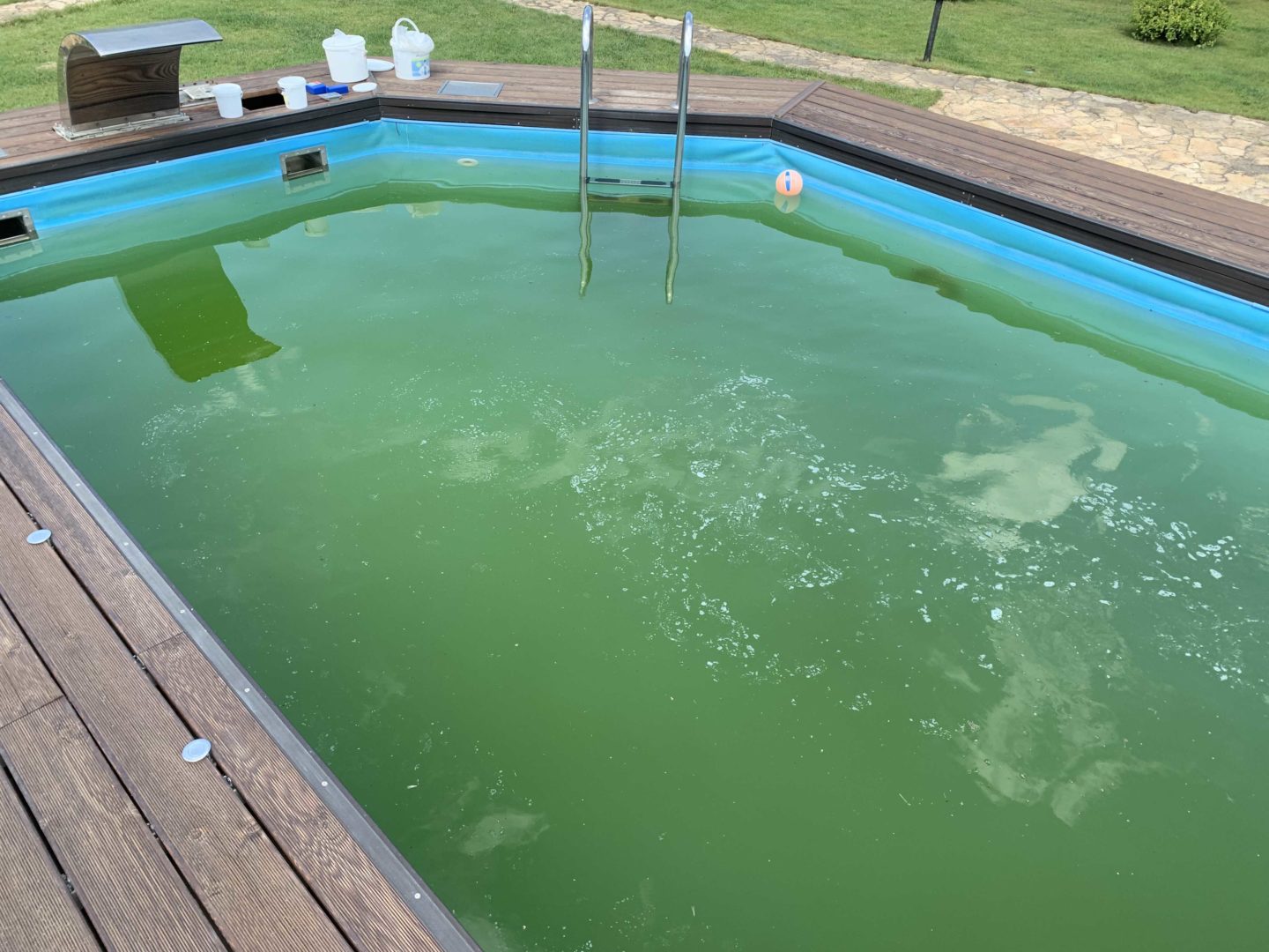 Чтобы вода в бассейне не зеленела: причины и предотвращение