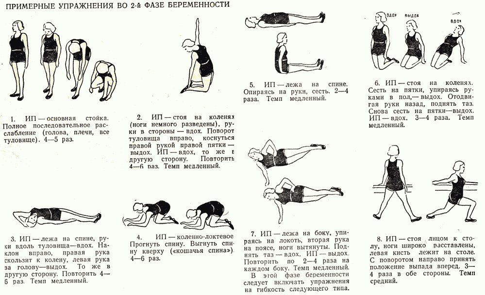 Упражнения в 3 триместре – рекомендации по безопасным тренировкам