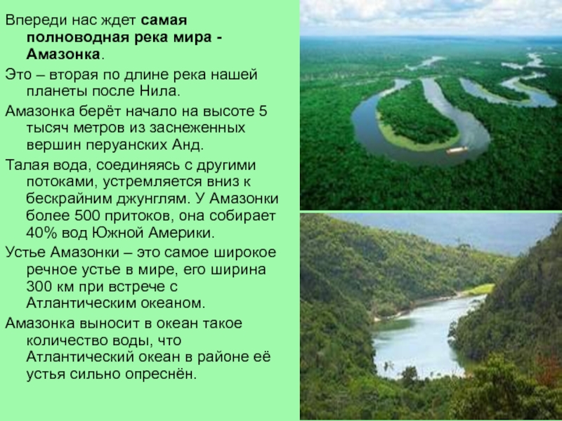 Самые длинные реки в мире: нил или амазонка - какой поток является наиболее протяженным и полноводным на земле?
