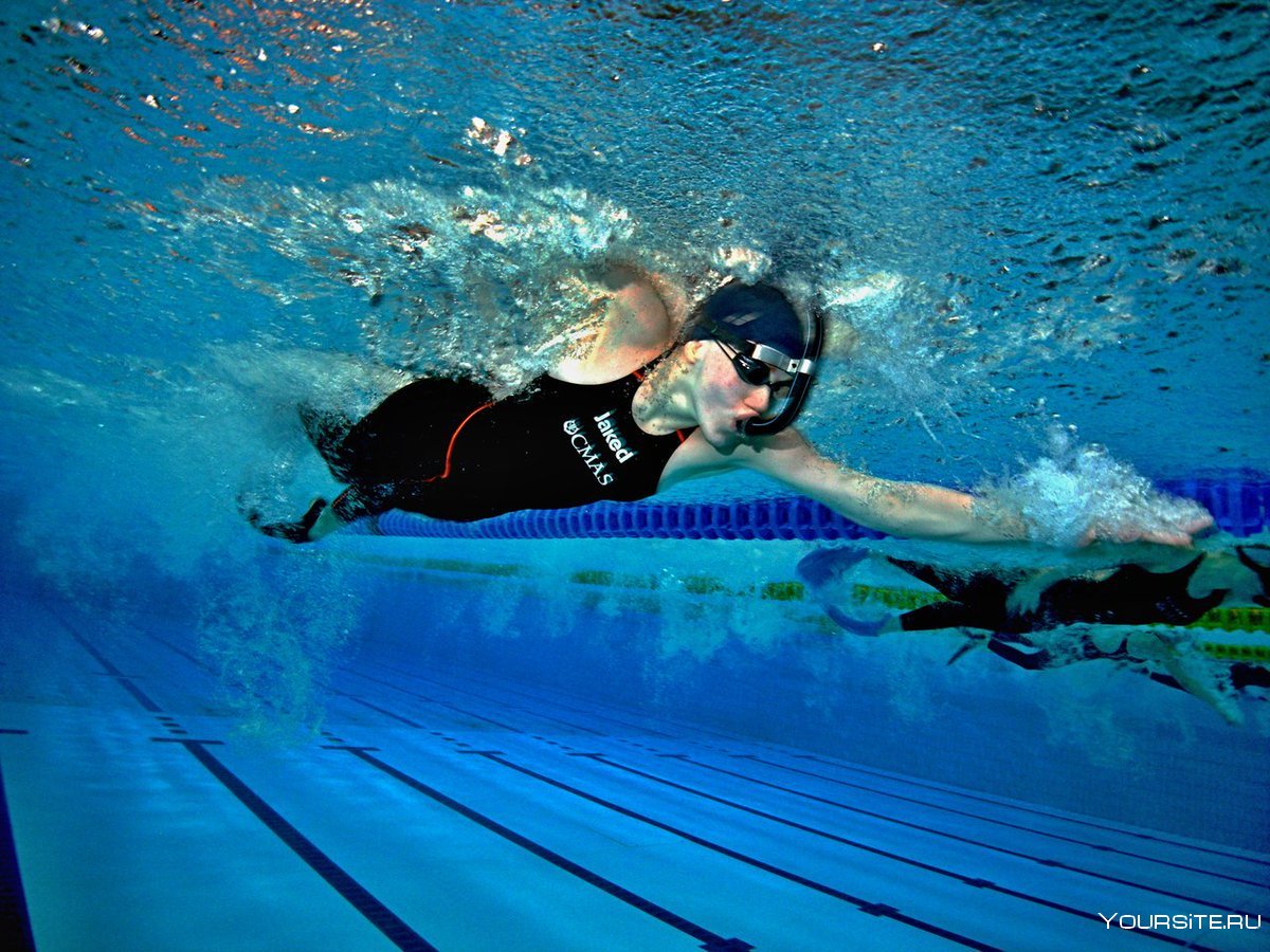 Плавание брассом: техника для начинающих, как правильно плавать