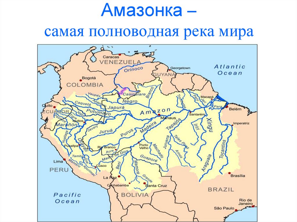 ????река амазонка: притоки, исток, устье, карта, фотогаллерея