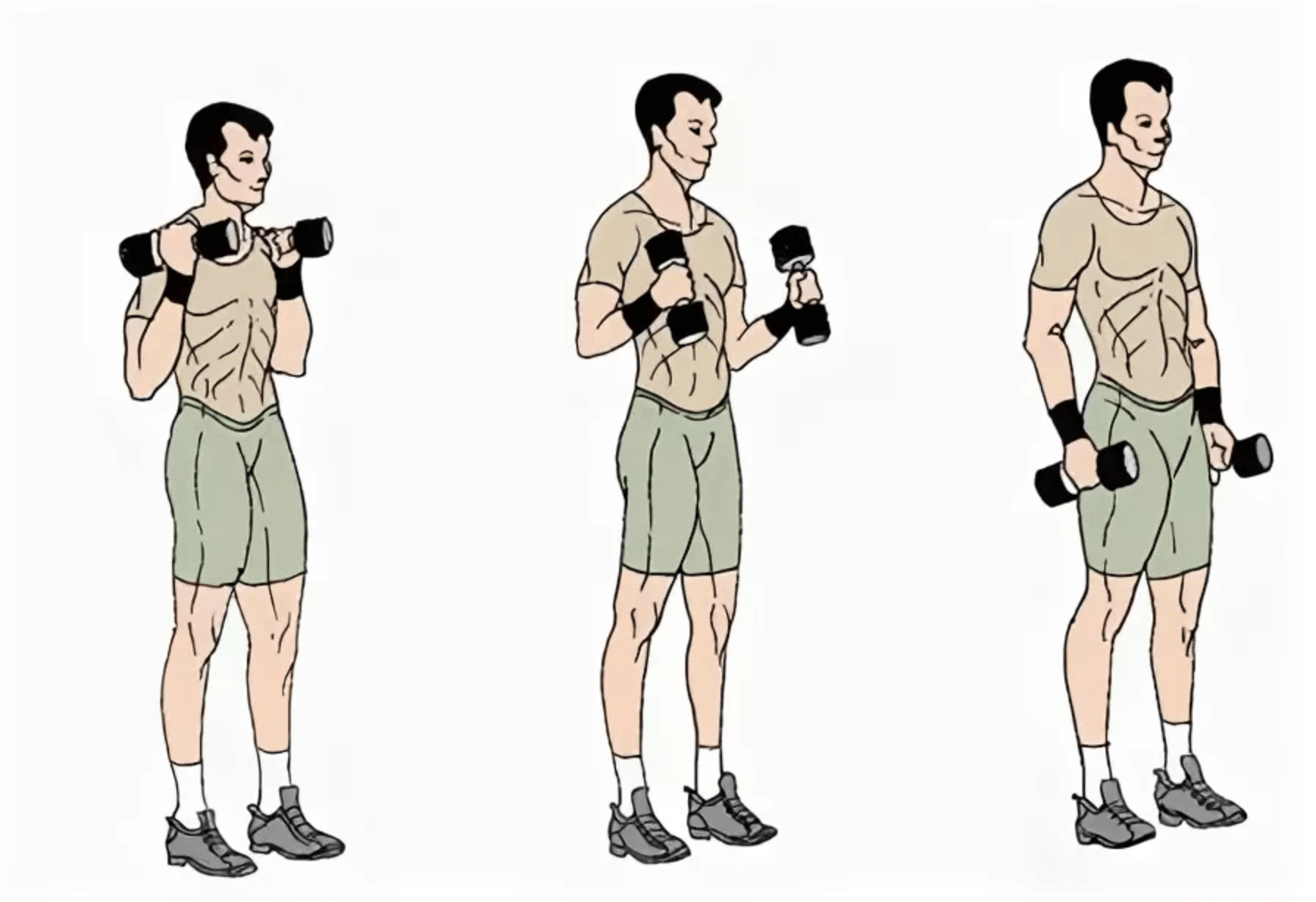 Упражнение молотки: техника сгибания рук с гантелями в стиле молот
