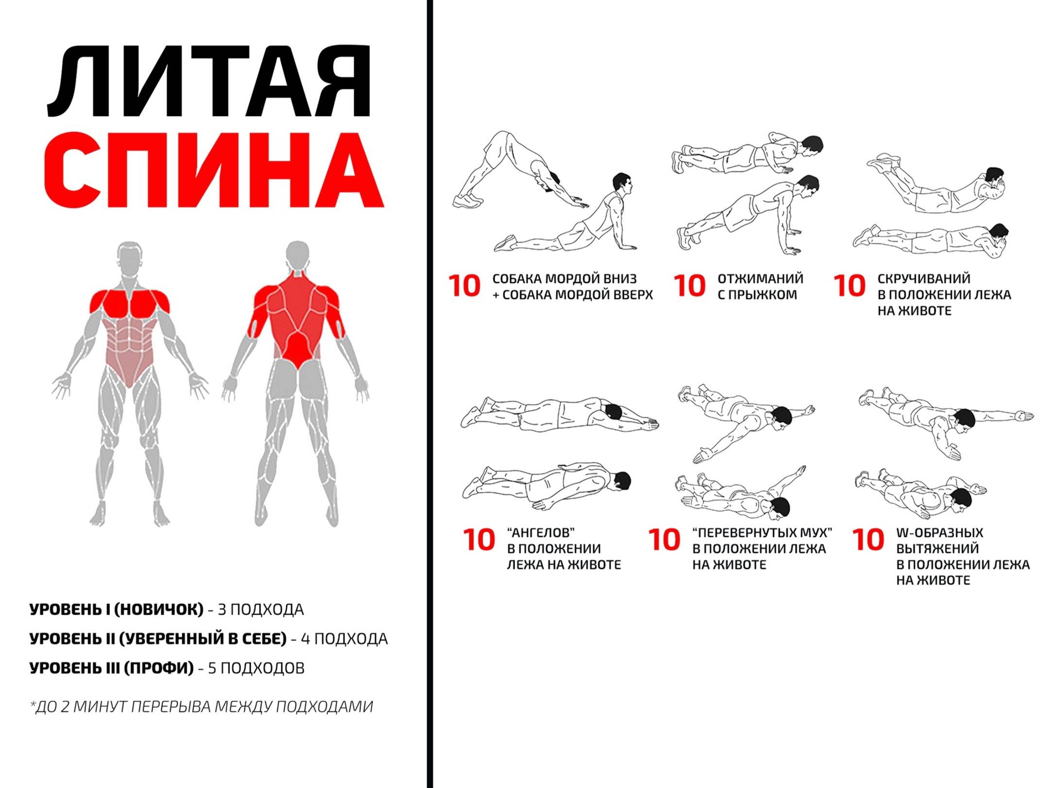 Без инвентаря. Комплекс упражнений с собственным весом для развития мышц спины. Упражнения на грудные мышцы с собственным весом. Упражнения на спину без инвентаря. Упражнения на широчайшие мышцы спины с собственным весом.