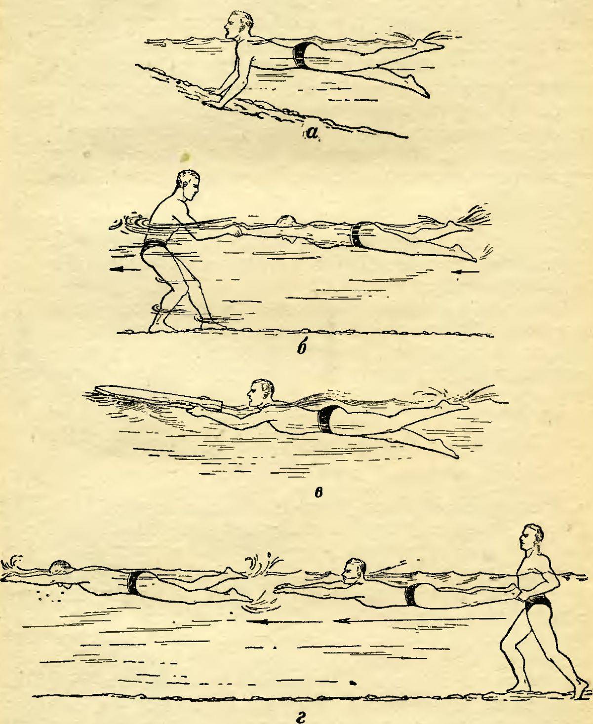 Как плавать по–собачьи: 13 шагов (с иллюстрациями)