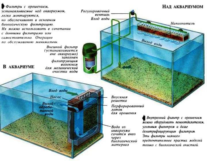 Как поменять воду в аквариуме: как правильно почистить маленький аквариум с черепахой или рыбами без сифона и почему они гибнут