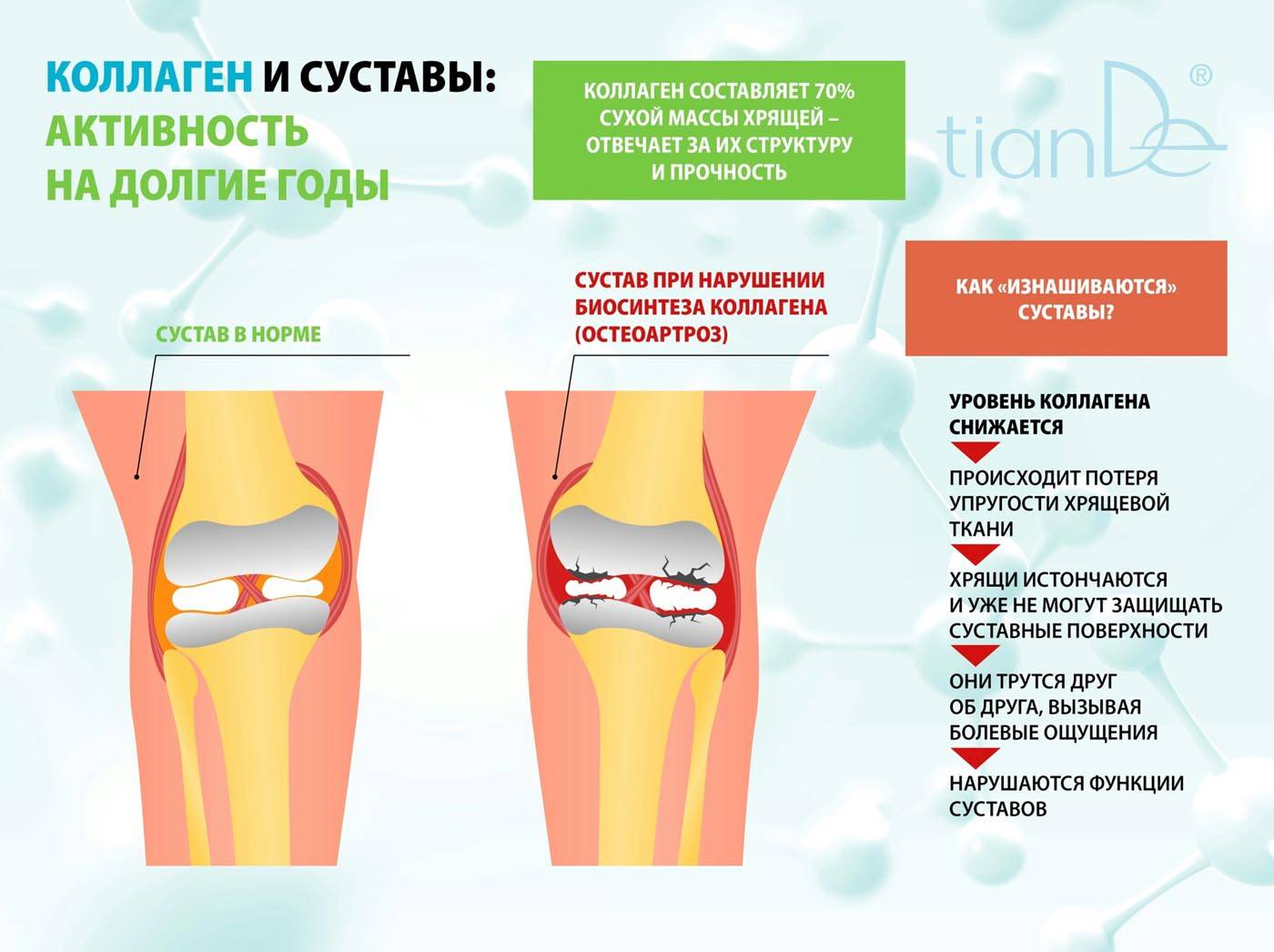 Как стимулировать синтез коллагена