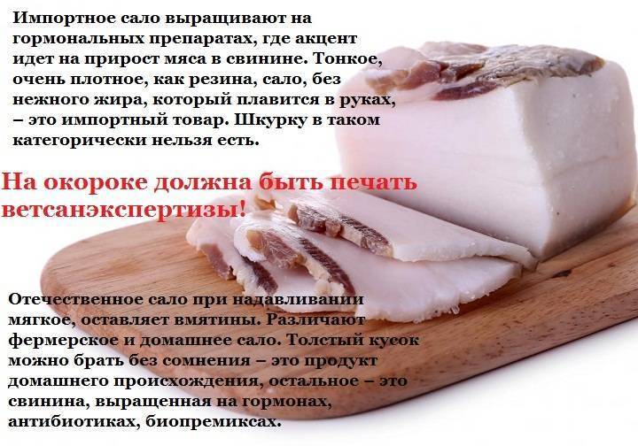 Полезно ли сало для сердца и сосудов — 7 фактов, как оно влияет на такие заболевания как атеросклероз, а также лечебные рецепты на его основе