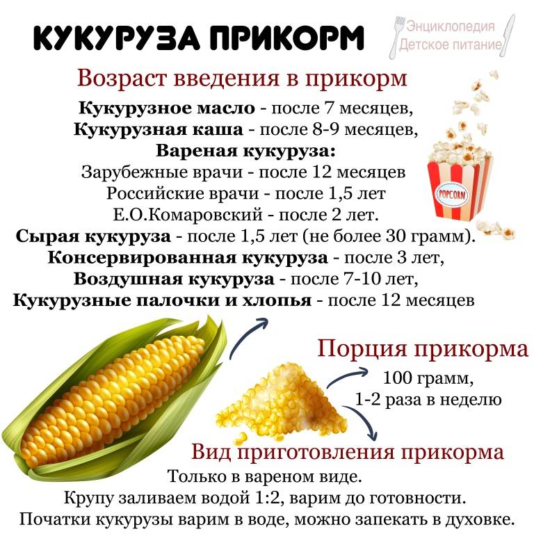 Кукуруза при похудении, эффективность, показания и противопоказания | irksportmol.ru