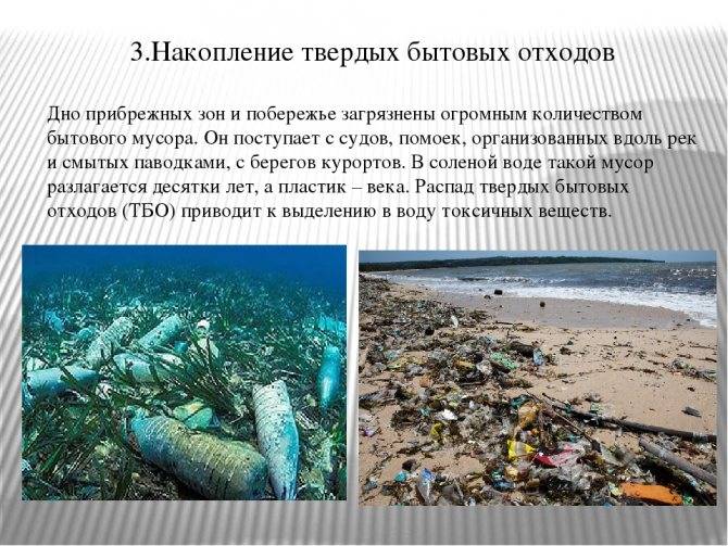 Топ 10 самых грязных морей на планете
