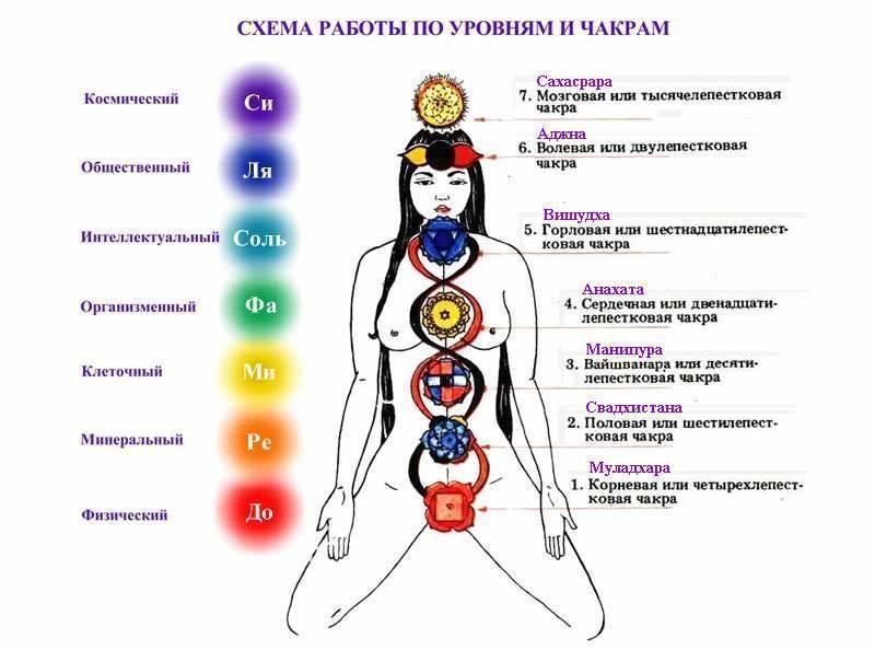 Картинка чакры человека с названиями