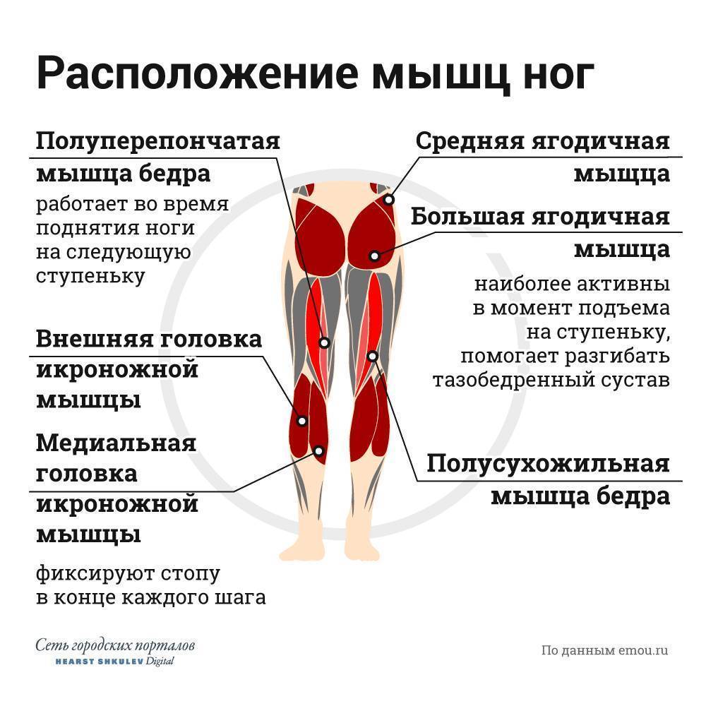Связаны ли повреждения мышц с гипертрофией? | fpa
