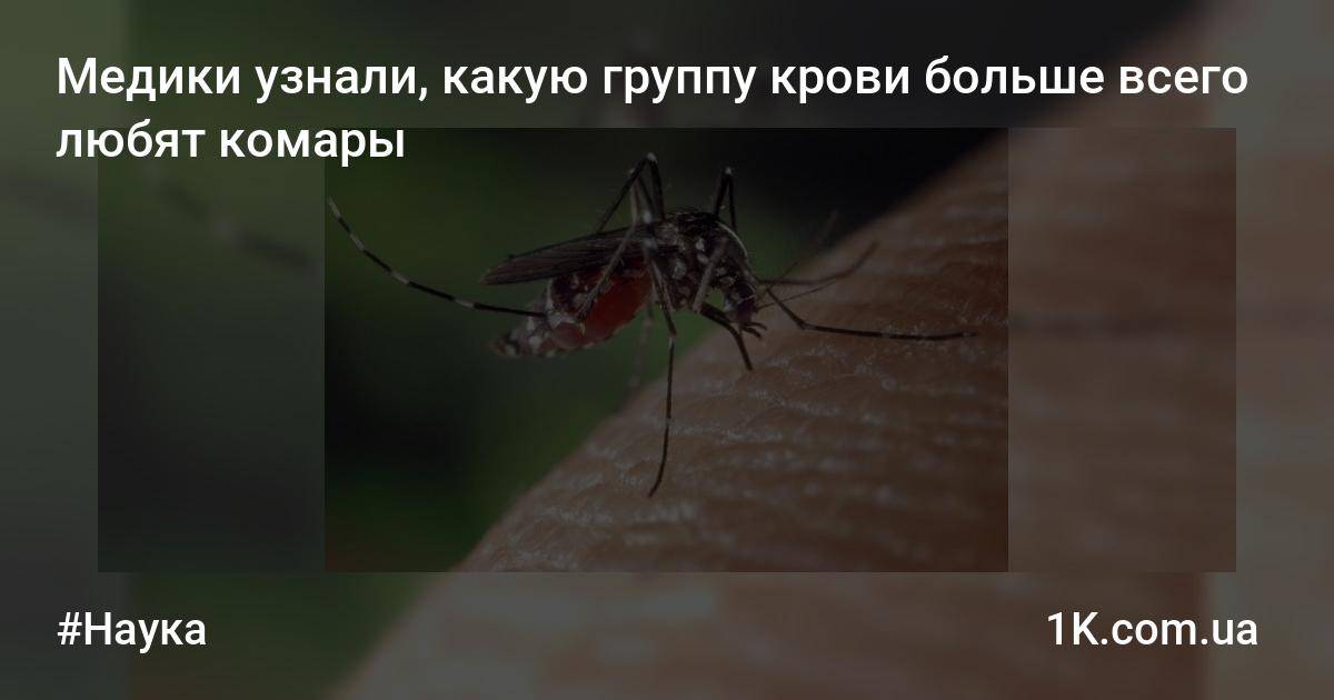 Людей с какой группой крови больше всего кусают комары, что приманивает кровососов