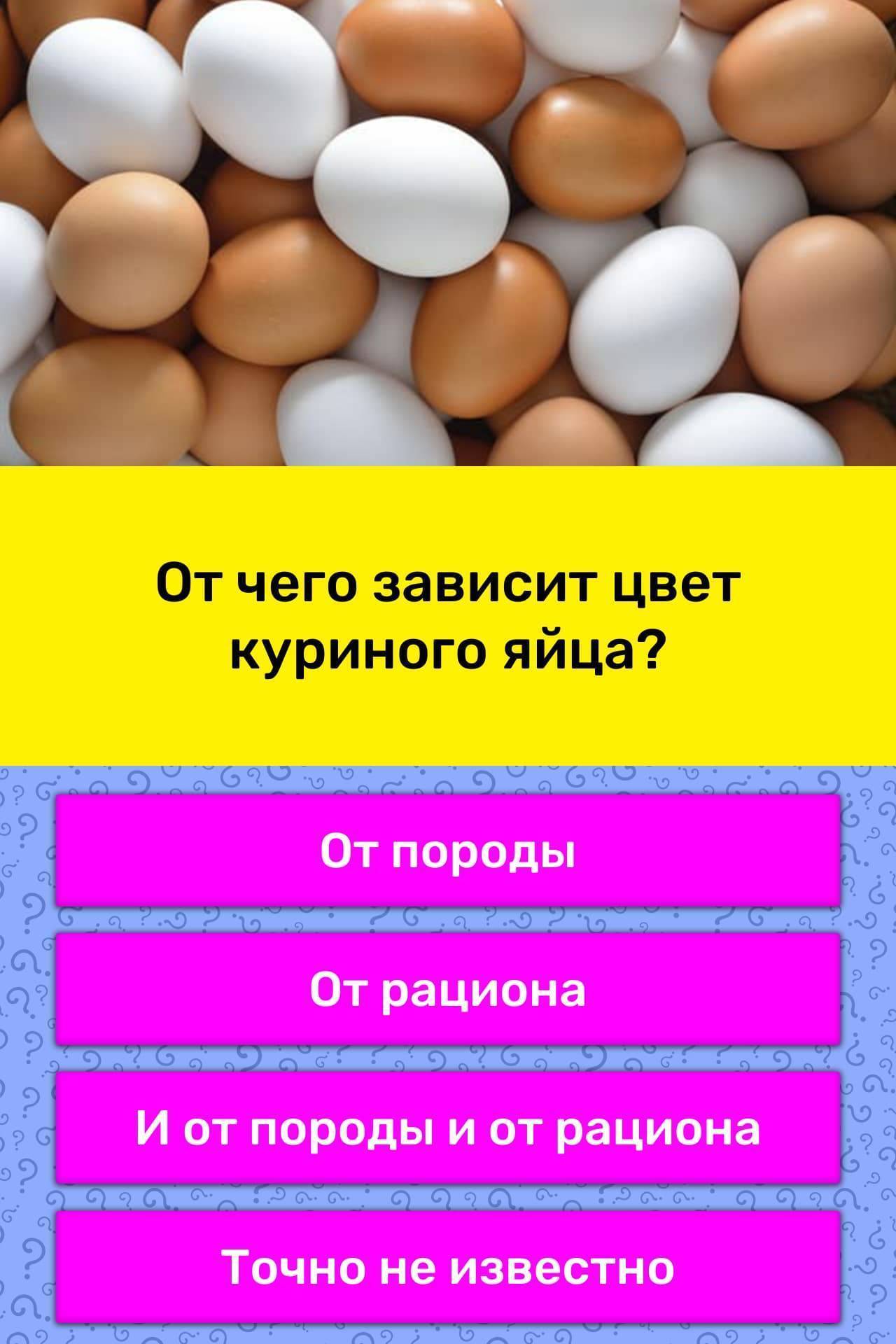 Почему яйца желтые: цвет желтка, белка и скорлупы — русский завтрак