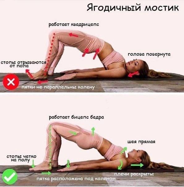 Ягодичный мостик: какие мышцы работают, виды и техника выполнения | irksportmol.ru