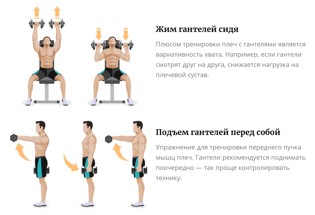 Подъём гантелей перед собой: техника выполнения и варианты упражнения | rulebody.ru — правила тела