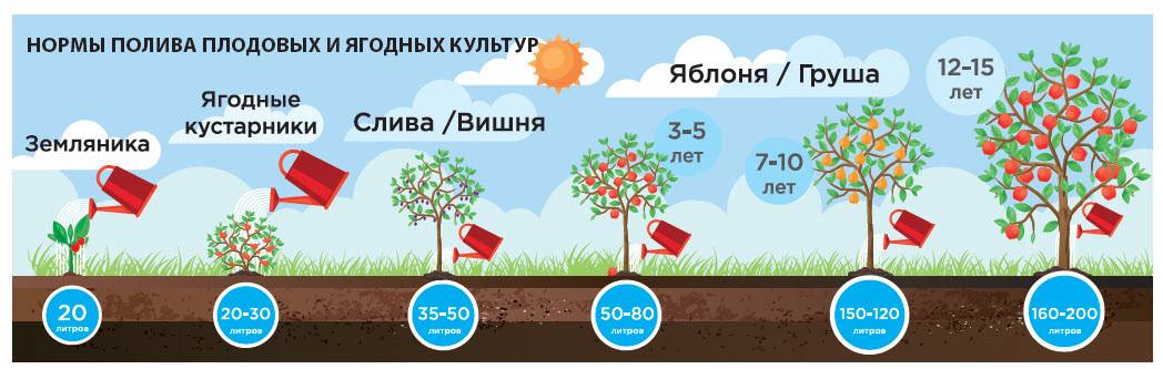 Можно ли брать воду из реки для полива по закону - дневник садовода vzimsadu.ru