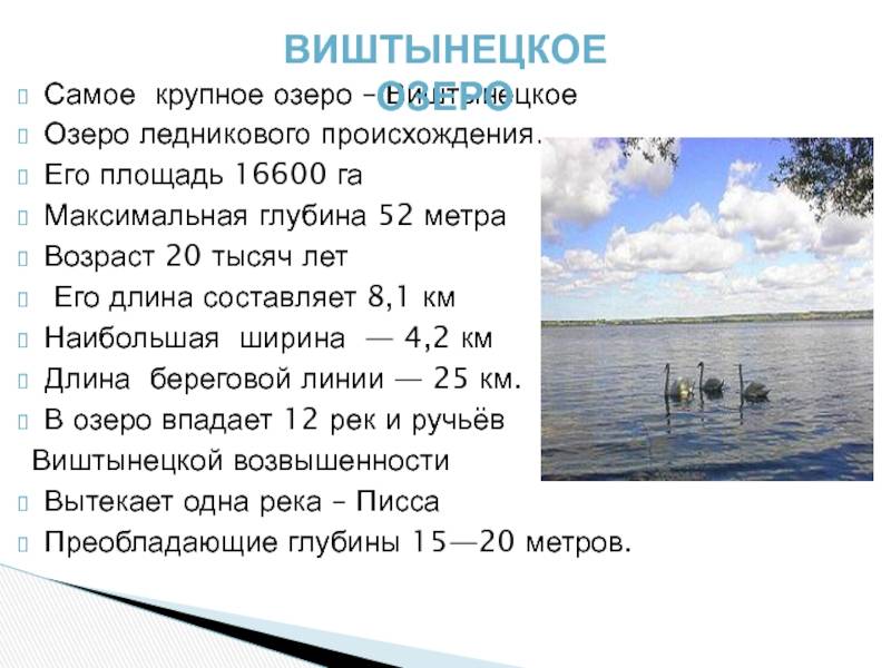 Блог вячеслава голубева. май по-гдовски, или речки чудского озера. 17 мая 2020 г. рыболовный блог
