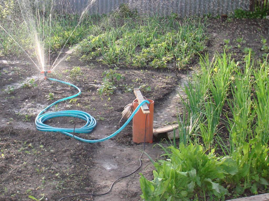 Можно ли поливать огород и газон водой из скважины