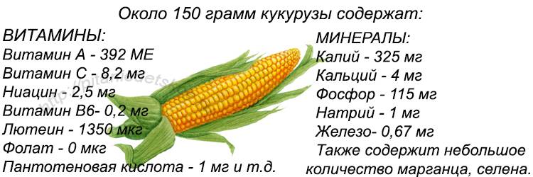 Кукуруза: калорийность на 100 грамм, в 1 шт., польза, вред, бжу