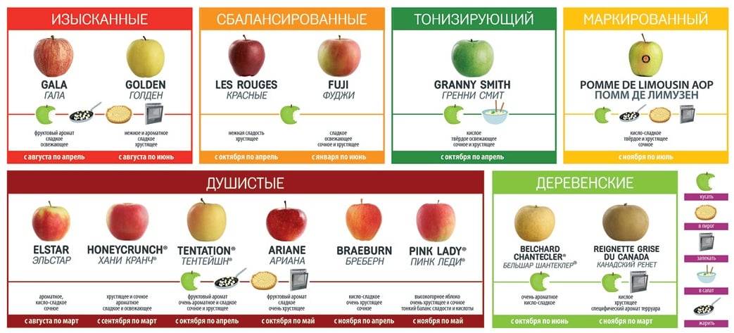 Яблоко 1 шт калории. калорийность разных типов яблок