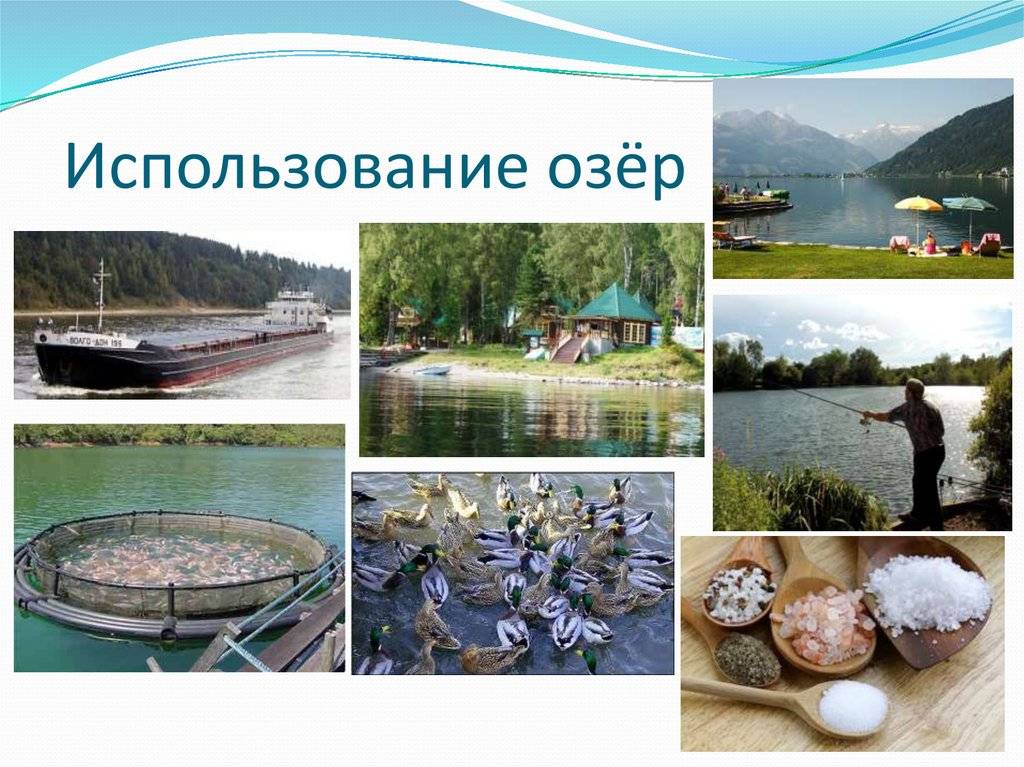 Озеро байкал – интересные факты: глубина, особые черты, происхождение и протяженность крупнейшего водоема | tvercult.ru