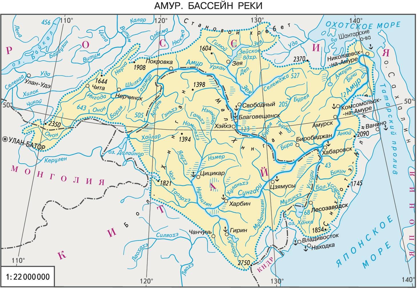 Река амур от истока до устья, бассейн и течение