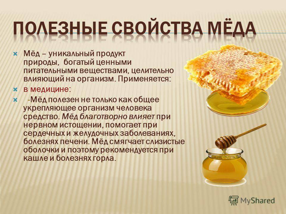 Характеристики меда при взятке — описание сортов