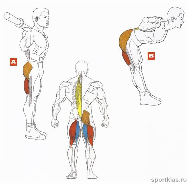Наклоны со штангой на плечах: описание техники, эффективные упражнения и рекомендации