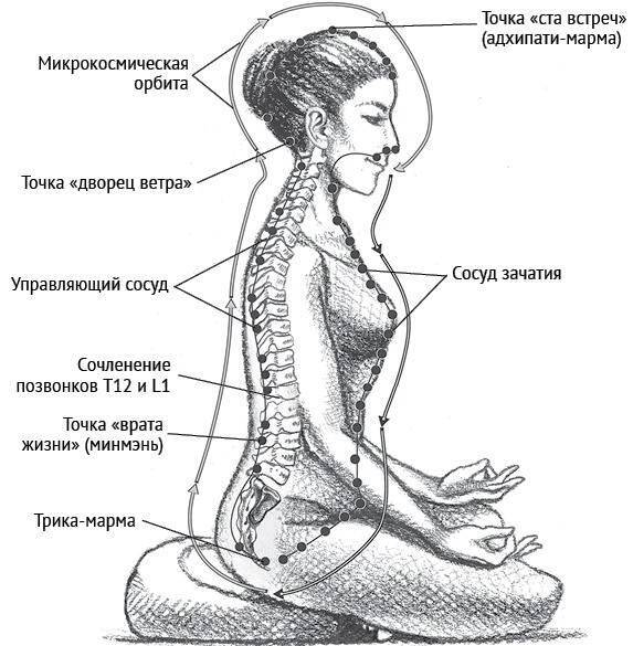 Женские даосские практики: 5 упражнений