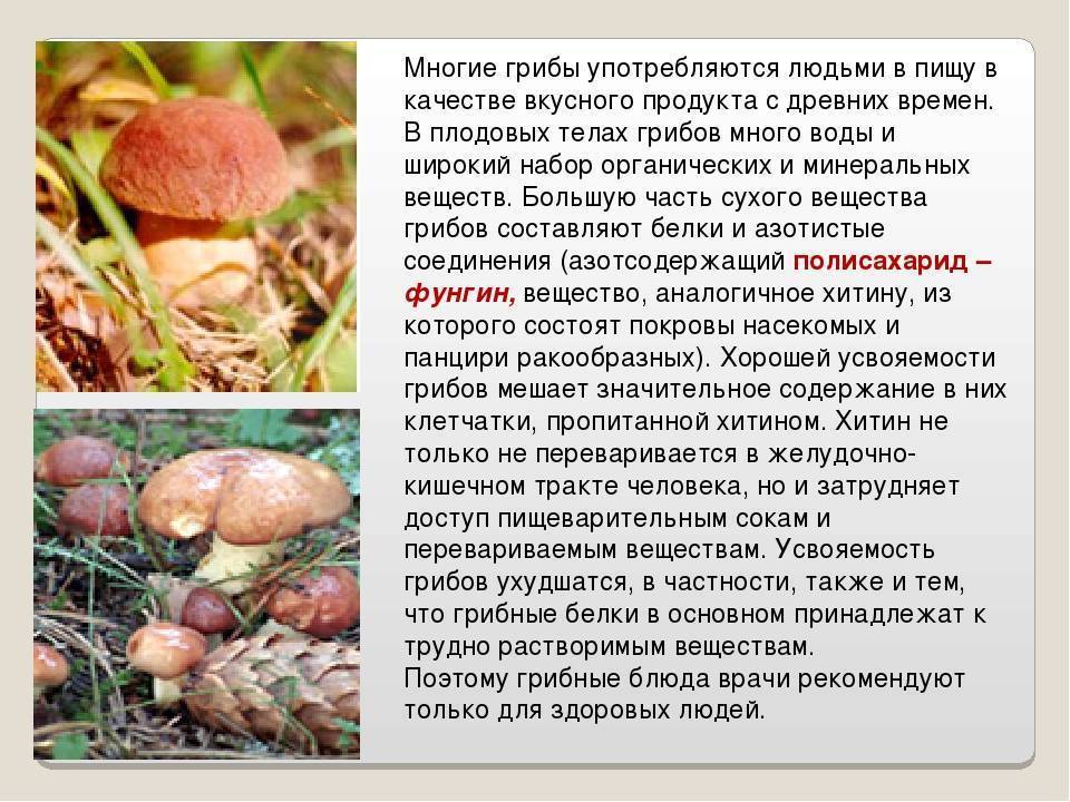 15 распространенных мифов о витаминах, их пользе и вреде