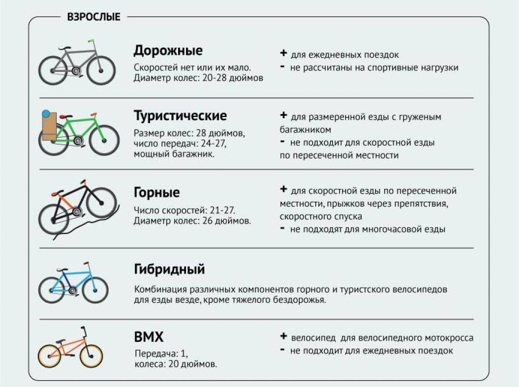 Как выбрать горный велосипед: рекомендации и основные правила