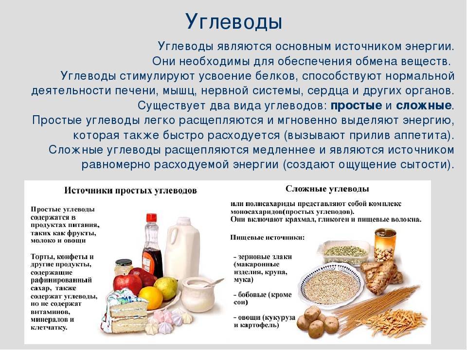 Углеводы в организме: в каких продуктах содержатся (таблица) – эл клиника
