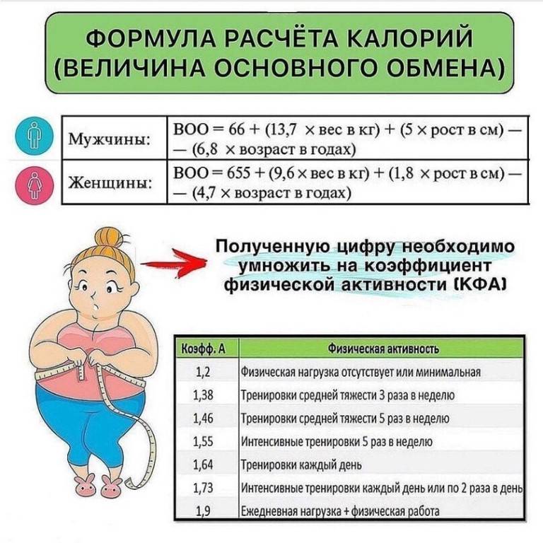 Сколько калорий нужно употреблять в день чтобы похудеть? | poudre.ru