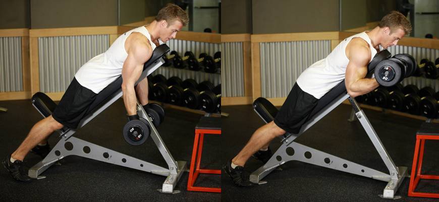 Seated Incline Dumbbell Curl