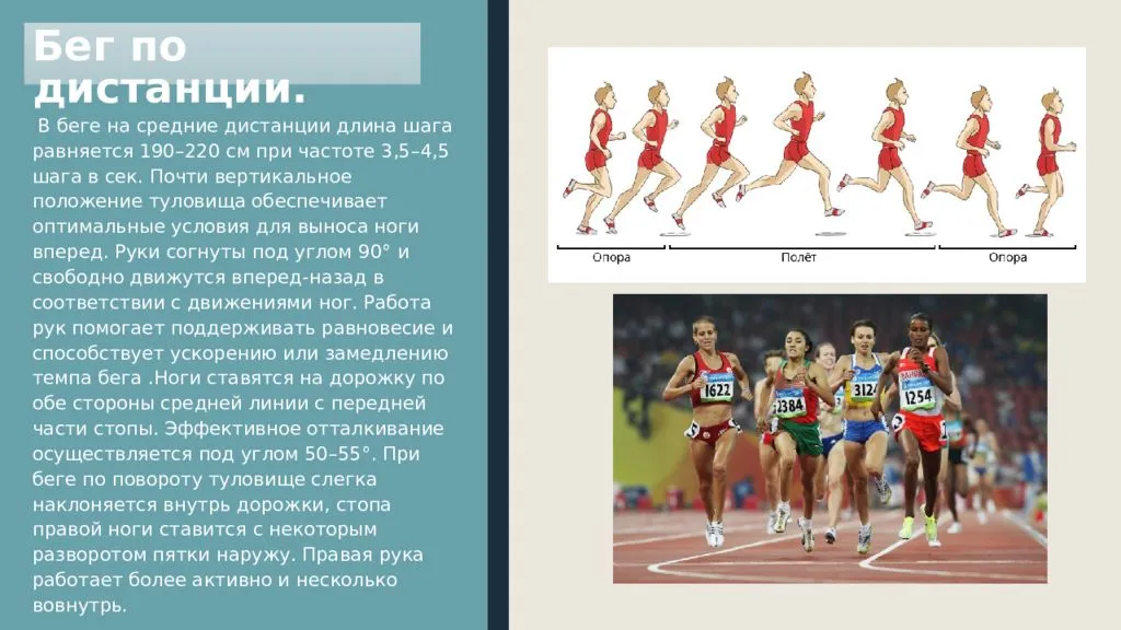 Нормативы по бегу для школьников, взрослых, военнослужащих, нормы гто | maximbuvalin.ru