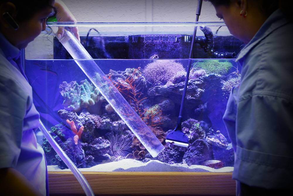 Кондиционер для воды в аквариуме: как пользоваться,описание ,фото | аквариумные рыбки