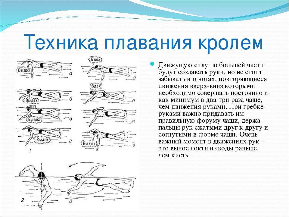 Плавание брассом - описание стиля во всех деталях: как правильно плавать этим способом на груди, советы и правила, видео с медленной съемкой в бассейне
